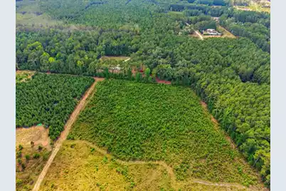 00 Adams Road, Cottageville, SC 29435 - Photo 24