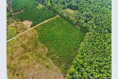 00 Adams Road, Cottageville, SC 29435 - Photo 16