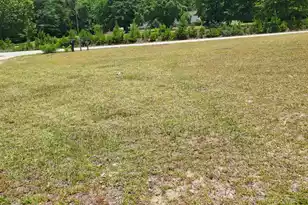 4091 Columbia Hwy, Ridge Spring, SC 29129 - Photo 22