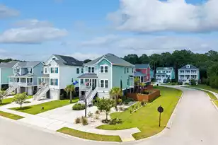 523 Amalie Farms Dr, Charleston, SC 29492 - Photo 62