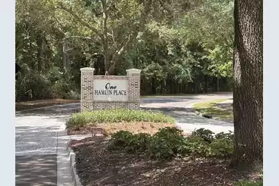 3009 Monhegan Way, Mount Pleasant, SC 29466 - Photo 62