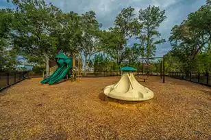 4007 Oxeye Loop, Johns Island, SC 29455 - Photo 56