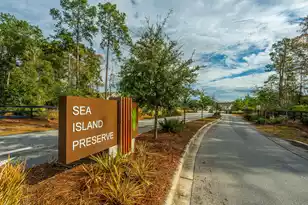 4007 Oxeye Loop, Johns Island, SC 29455 - Photo 52