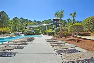 2957 River Vista Way, Mount Pleasant, SC 29466 - Photo 88