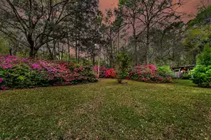 3538 Johan Blvd, Johns Island, SC 29455 - Photo 76