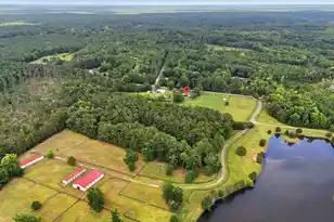 10007 Jacksonboro, Cottageville, SC 29435 - Photo 2
