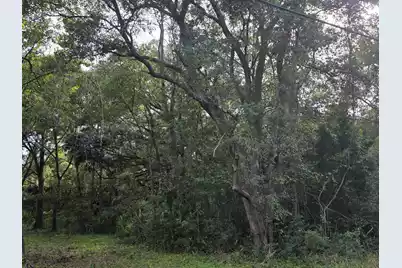 7929 Legare Road, Edisto Island, SC 29438 - Photo 8