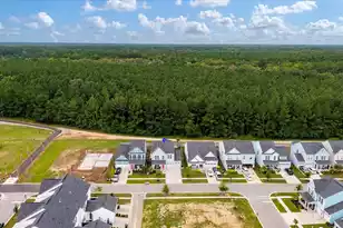 1100 Magnolia Warbler Wy, Ravenel, SC 29470 - Photo 42