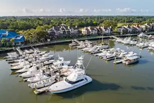 2420 Racquet Club Dr, Seabrook Island, SC 29455 - Photo 56