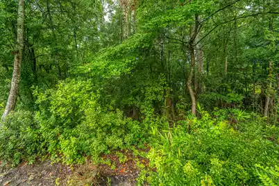 271 Bateaux Drive, Summerville, SC 29483 - Photo 44