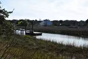 1261 Caperton Way, Charleston, SC 29412 - Photo 6
