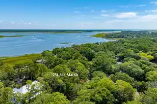 251 Sea Marsh Dr, Kiawah Island, SC 29455 - Photo 46