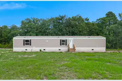 396 Marion Road, Dorchester, SC 29437 - Photo 4