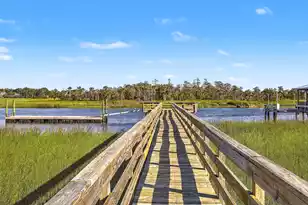 1260 Blue Sky Lane, Charleston, SC 29492 - Photo 46