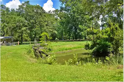 5138 New Road Ext, Hollywood, SC 29449 - Photo 18
