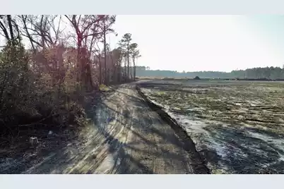 0 Old Spell Road, Saint George, SC 29477 - Photo 6