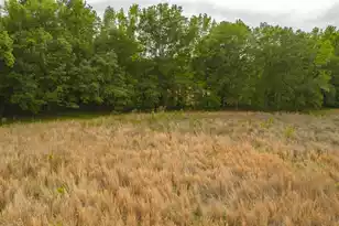 3 Old Number Six Hwy, Vance, SC 29163 - Photo 24