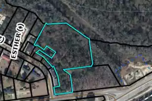 210212 Esther Ln, Orangeburg, SC 29115 - Photo 1