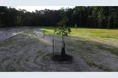 379 Fish Road Estates Lane, Cross, SC 29472 - Photo 12