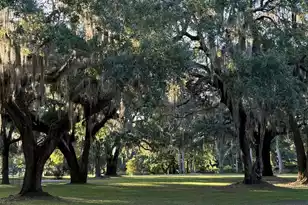 4139 Pritchard Green Rd, Mount Pleasant, SC 29429 - Photo 1