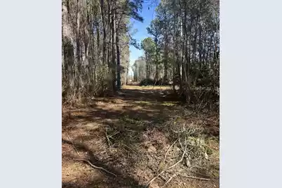 N/A Graham Street, Saint Stephen, SC 29479 - Photo 2