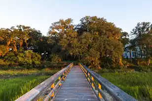 128 Etta Wy, Daniel Island, SC 29492 - Photo 48