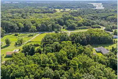 0 Boy Scout Road, Wadmalaw Island, SC 29487 - Photo 8