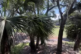 841 Club Cottage #Share #4, Edisto Island, SC 29438 - Photo 30