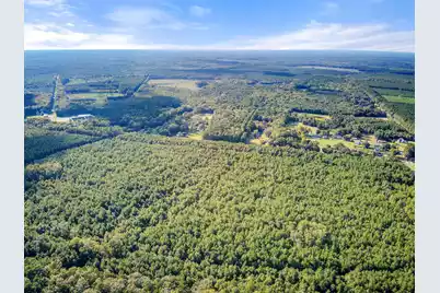 Tbd Summer Drive, Ridgeville, SC 29472 - Photo 12