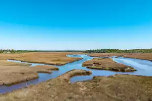4112 Home Town Ln, Ravenel, SC 29470 - Photo 74
