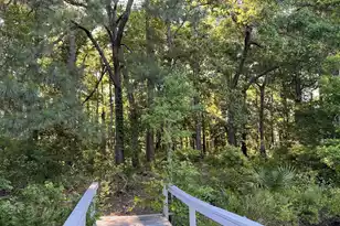 1721 Fox Ridge Ct, Charleston, SC 29414 - Photo 26