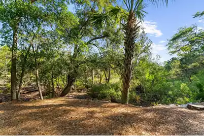 5819 Back Bay Drive, Isle Of Palms, SC 29451 - Photo 74