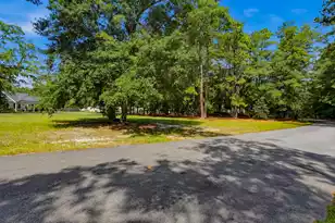 255 Longleaf Dr, Walterboro, SC 29488 - Photo 48