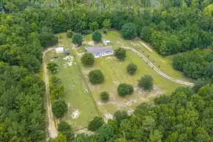 189 Cupid Ct, Eutawville, SC 29048 - Photo 66
