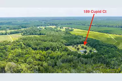 189 Cupid Court, Eutawville, SC 29048 - Photo 62