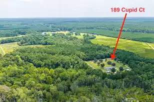 189 Cupid Ct, Eutawville, SC 29048 - Photo 62