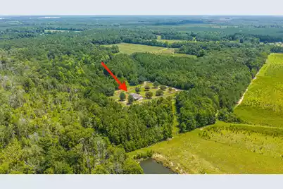 189 Cupid Court, Eutawville, SC 29048 - Photo 60