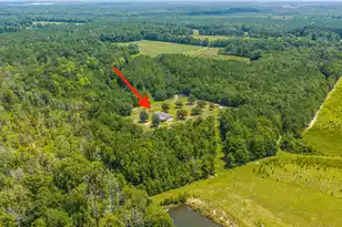 189 Cupid Ct, Eutawville, SC 29048 - Photo 60