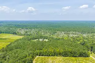 189 Cupid Ct, Eutawville, SC 29048 - Photo 58