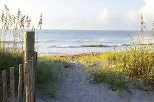 218 Palmetto Blvd, Edisto Island, SC 29438 - Photo 44