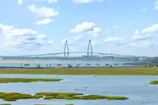 1802 Back St, Sullivans Island, SC 29482 - Photo 20