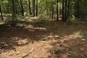 1061 Myrtle Dr, Santee, SC 29142 - Photo 1