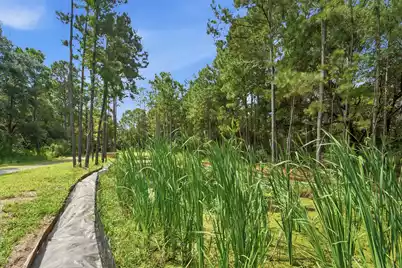 0 Holly Creek Road #Lot 4A, Charleston, SC 29412 - Photo 28
