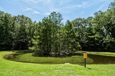 1581 Bluewater Way, Charleston, SC 29414 - Photo 20