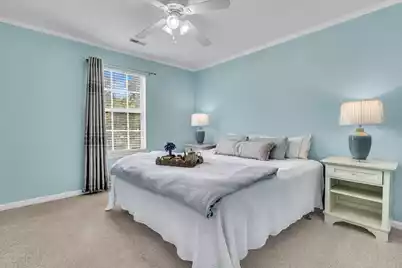 2905 Leatherleaf Court, Mount Pleasant, SC 29466 - Photo 36