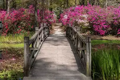 205 Tea Farm Road, Summerville, SC 29483 - Photo 70