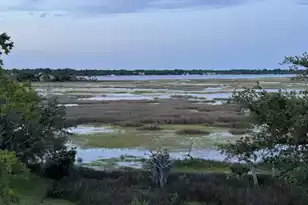 1563 Headquarters Plantation Dr, Johns Island, SC 29455 - Photo 110