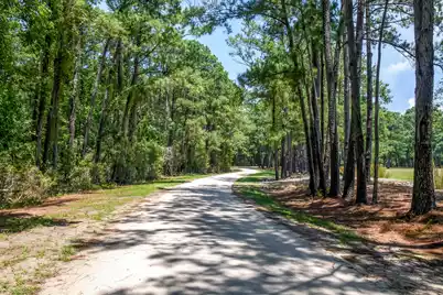 6258 Josie Ridge Road, Wadmalaw Island, SC 29487 - Photo 36