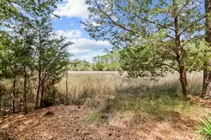 1880 Hubbell Dr, Mount Pleasant, SC 29466 - Photo 62