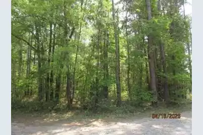 0 Old Arrowhead Road, Huger, SC 29450 - Photo 1
